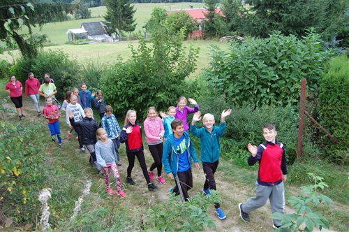 Obrázek v galerii